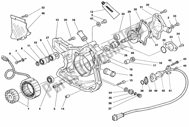 Tutte le parti per il Coperchio Del Generatore del Ducati Superbike 748 SPS 1998